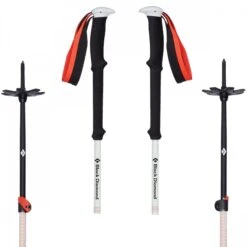 Black Diamond Expedition 2 Ski Poles (Pair)